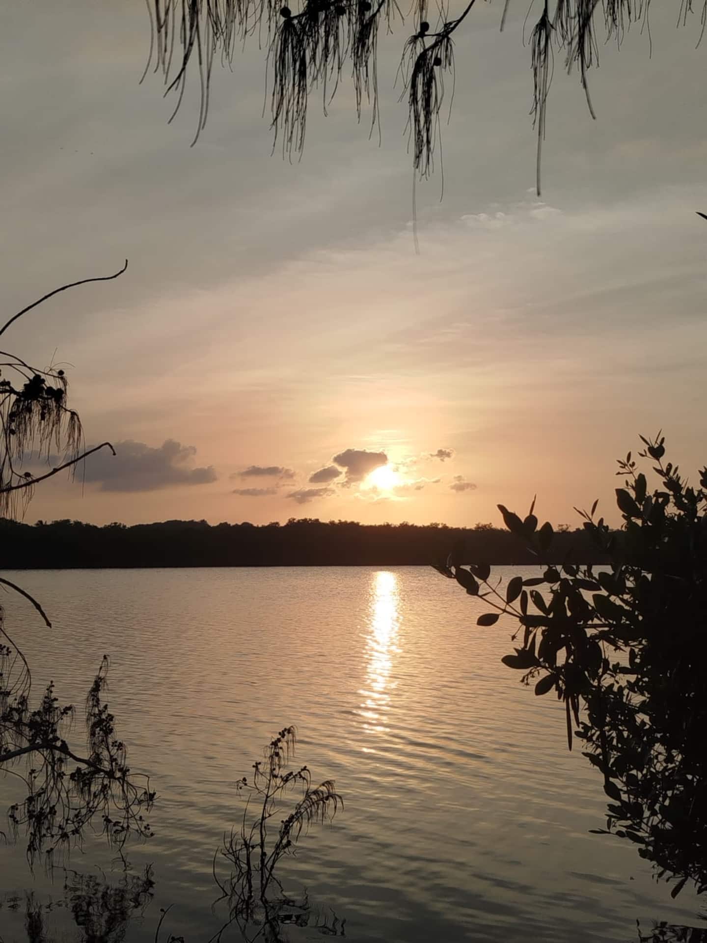 66452874-bf21-4521-853f-002d25c43c23.jpeg