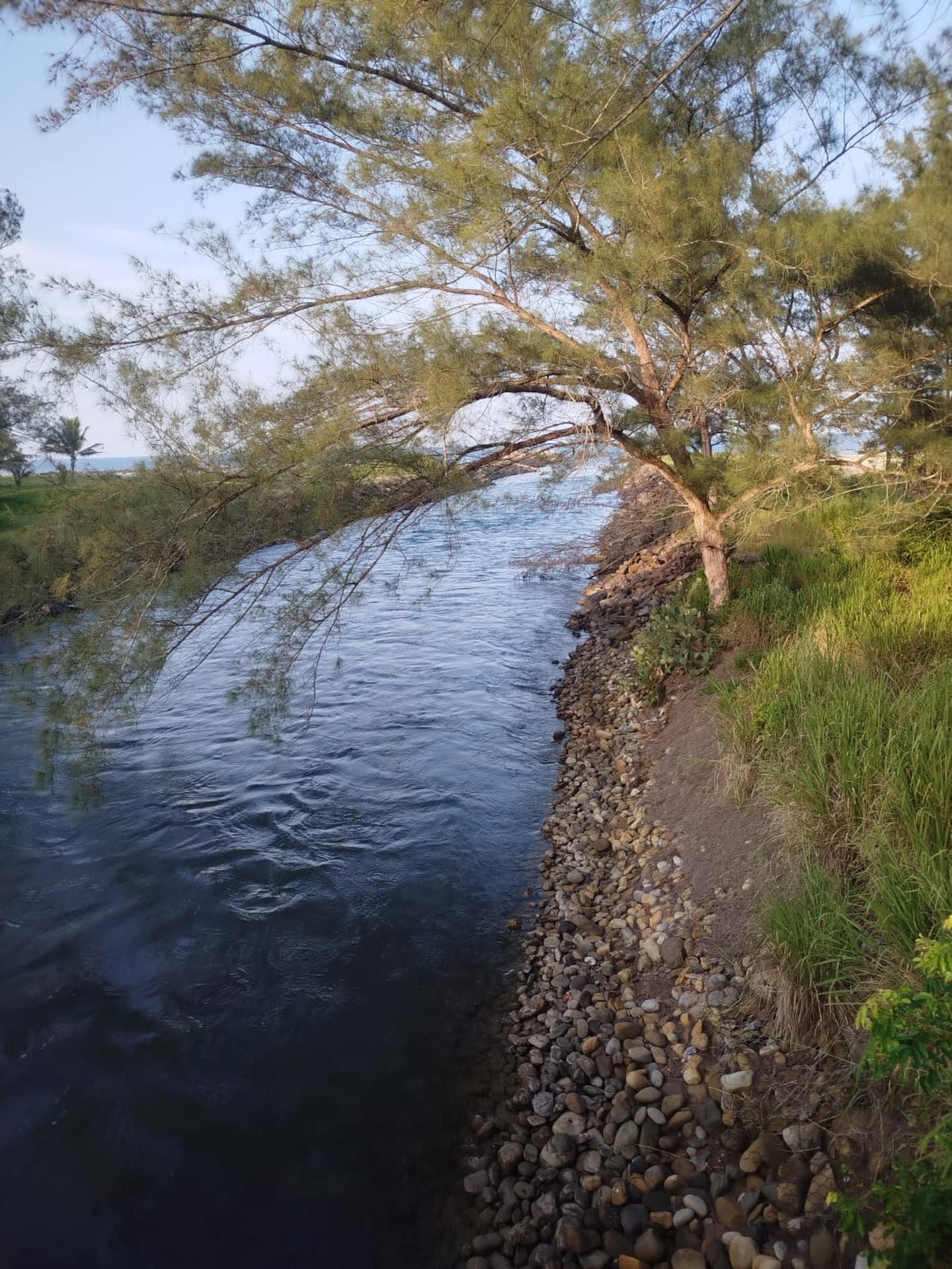 94ab9e3d-be63-4507-815e-2dd967debecd.jpeg