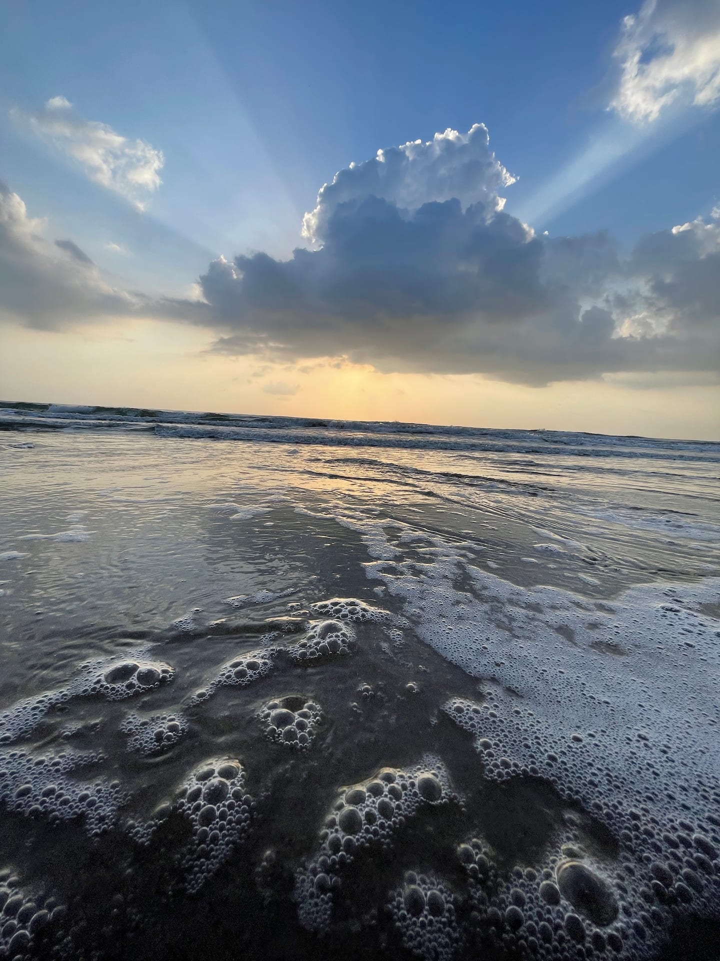 b2d5b26c-a445-4e3e-9d7f-23e7b76cbd1c.jpeg