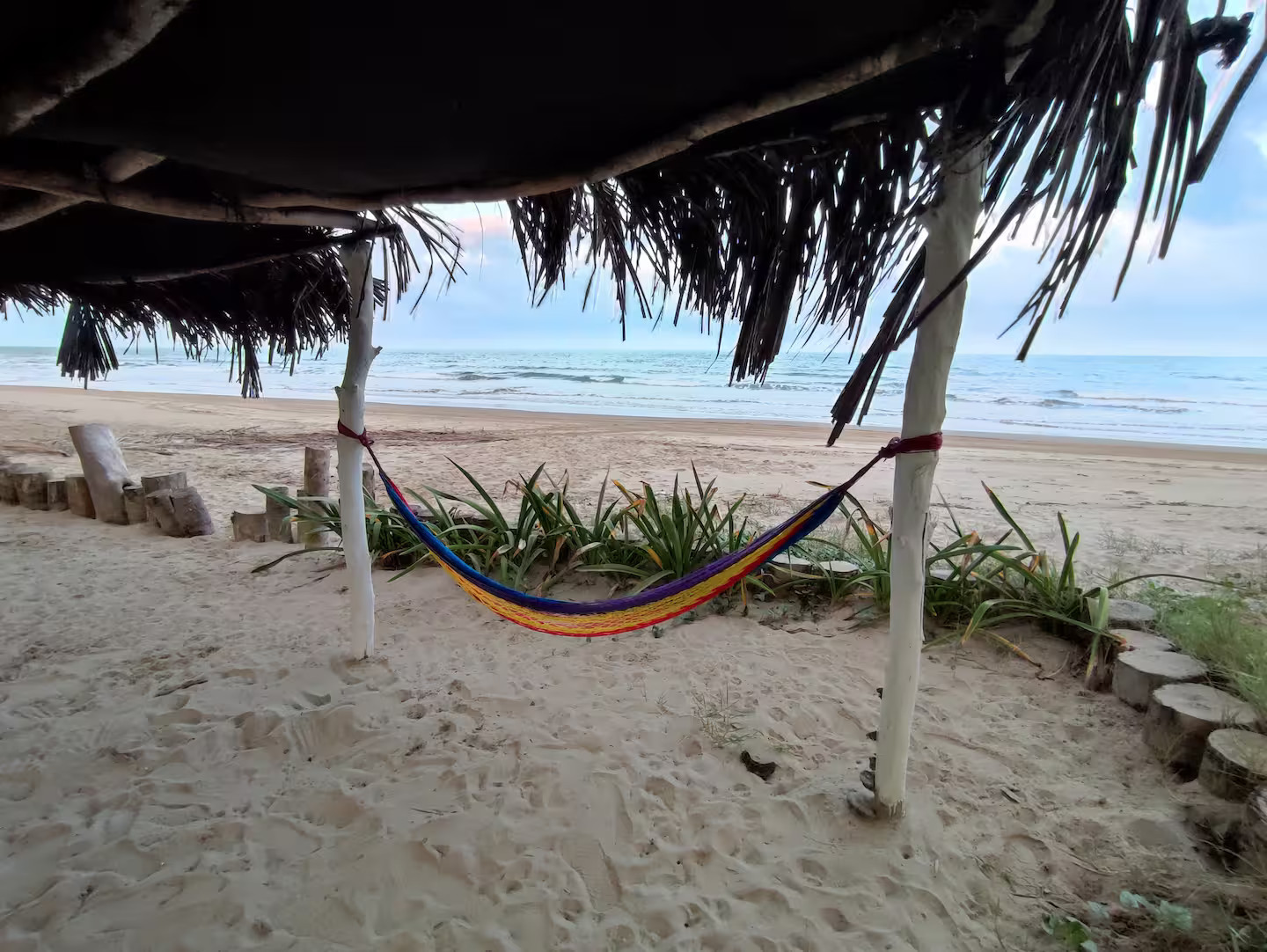 Jardín exterior de La Casita Pura Vida, casa frente al mar en Barra de Galindo, Tuxpan (foto 4)