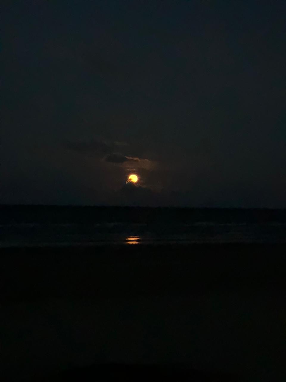 Playa privada frente a La Casita Pura Vida, Barra de Galindo, Tuxpan Veracruz (foto 44)